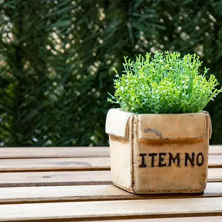 Comfy & Luminous Terrace شقة *