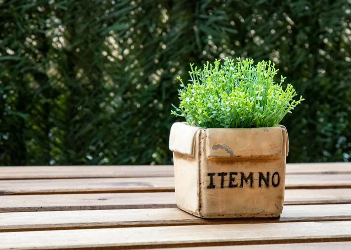 Comfy & Luminous Terrace アパート *